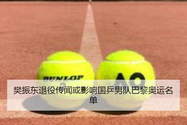 樊振东退役传闻或影响国乒男队巴黎奥运名单